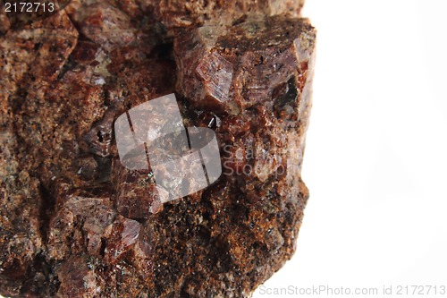 Image of natural pyrope garnet mineral 