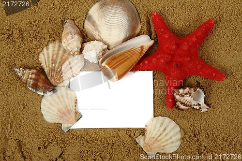 Image of sand frame with the shells 