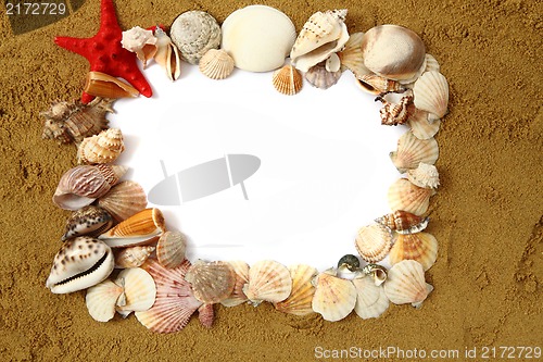 Image of sand frame with the shells 