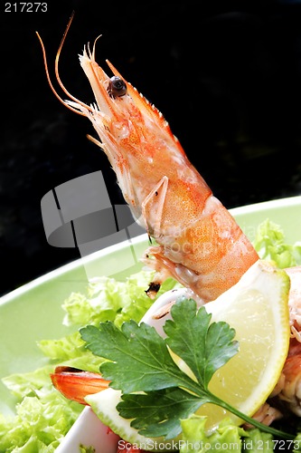 Image of Prawn Salad