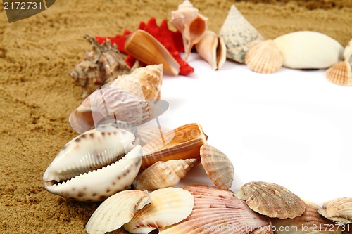 Image of sand frame with the shells 
