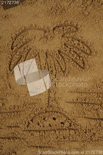 Image of palm drawing in the sand 