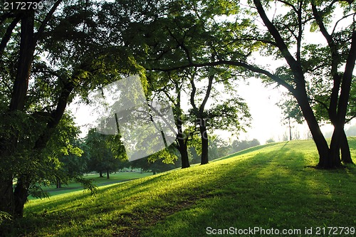 Image of spring in the green park 