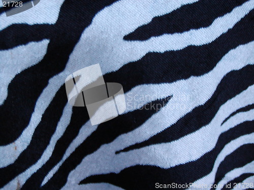 Image of Zebra