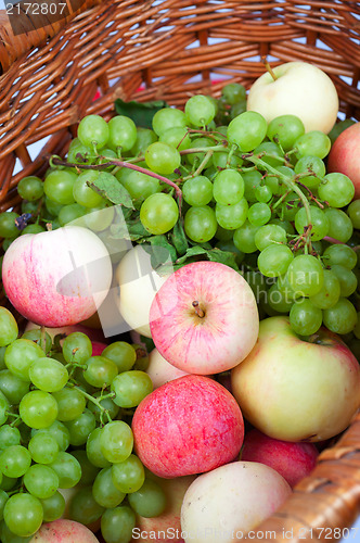 Image of apples and grapes