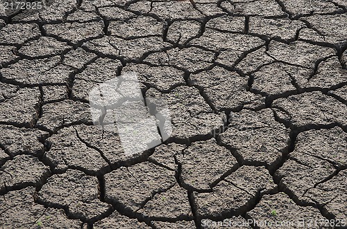 Image of Dry land