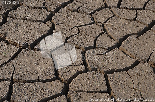 Image of Dry land