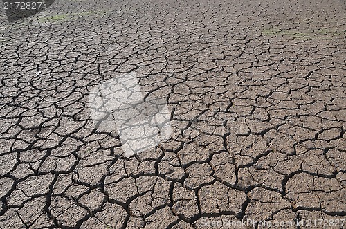 Image of Dry land