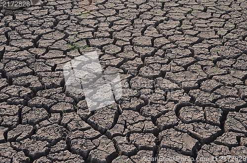 Image of Dry land