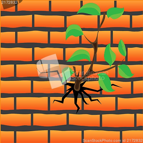 Image of tree