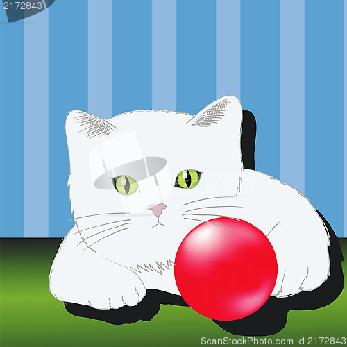 Image of cat