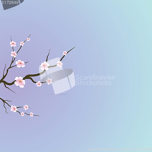 Image of flowers