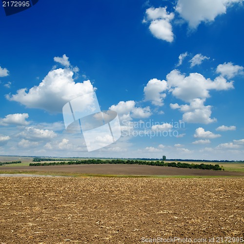 Image of black ploughed field under blue sky