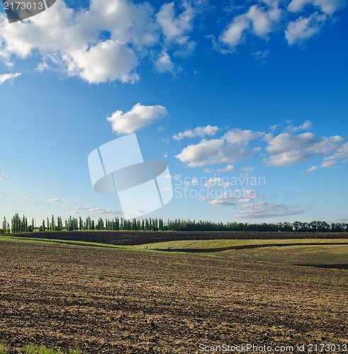 Image of black ploughed field under blue sky