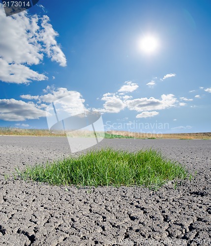 Image of sun over drought land