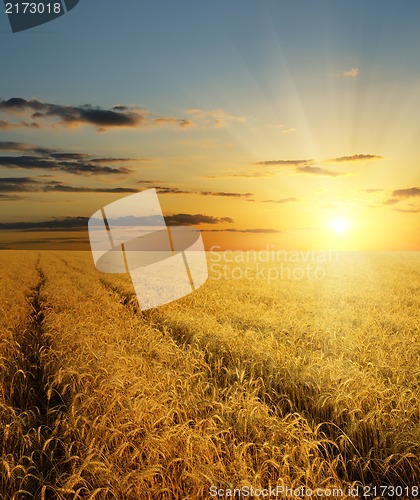 Image of sunset over field with gold harvest