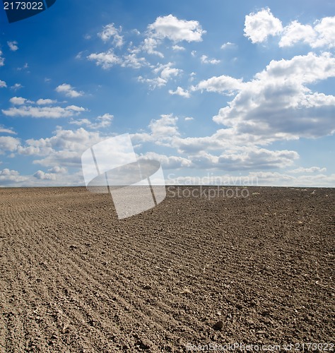 Image of black ploughed field under blue sky