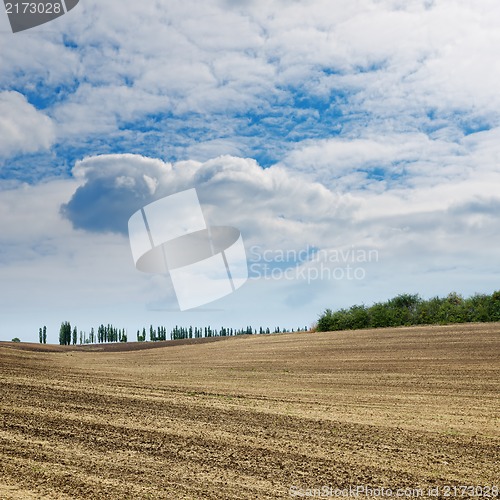 Image of black field after harvesting