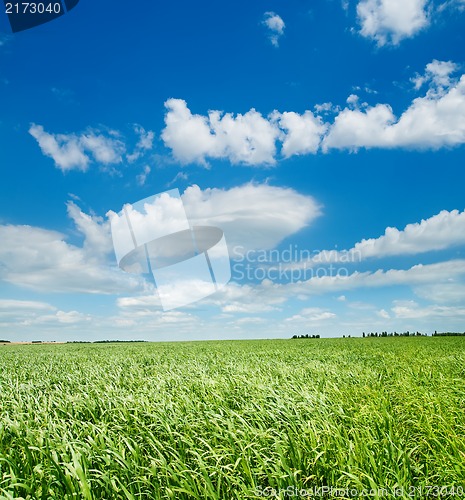Image of green grass under cloudy sky