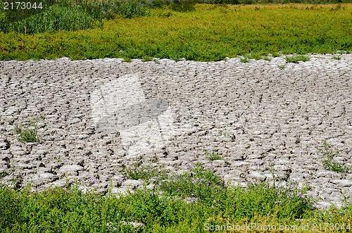 Image of green grass around drought land