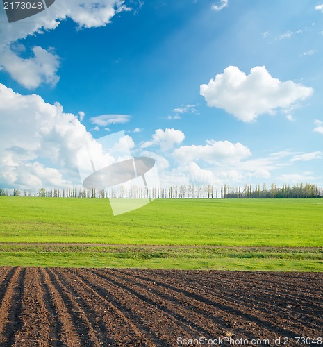 Image of black and green field under cloudy sky