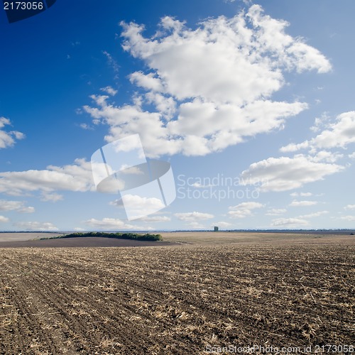 Image of black field after harvesting