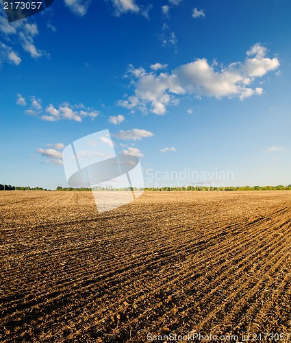 Image of black ploughed field under blue sky