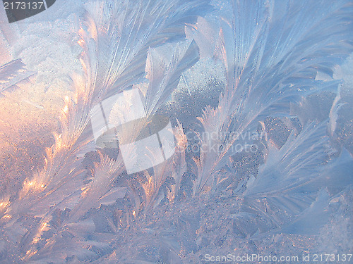 Image of Ice pattern on glass