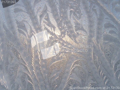 Image of Ice natural pattern on glass