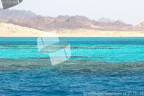 Image of Ras Mohammed in the Red Sea, Egypt