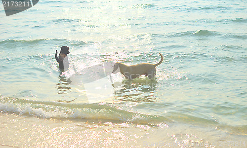 Image of two dogs