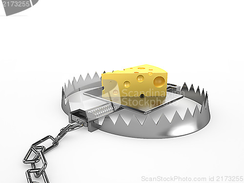 Image of Piece of cheese - a bait in a trap