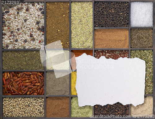 Image of various spices