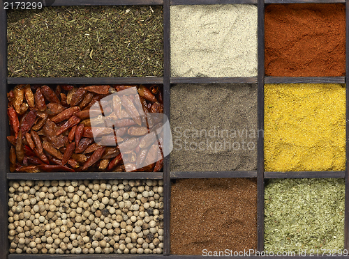 Image of various spices