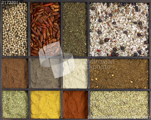 Image of various spices