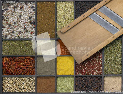 Image of various spices