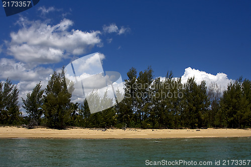 Image of hill  in madagascar nosy be