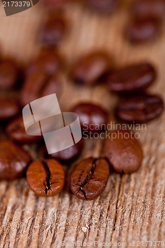 Image of fresh coffee beans