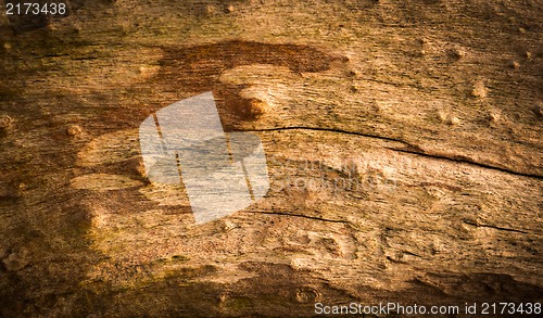 Image of Vintage Grungy Old Wood.