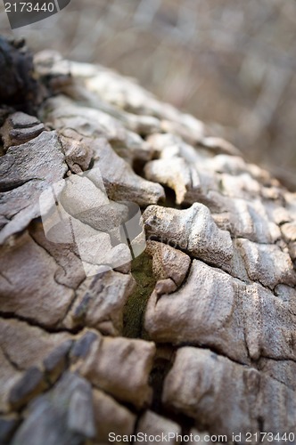 Image of Vintage Grungy Old Wood.