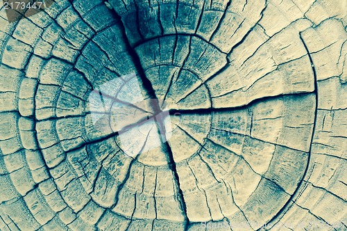 Image of Closeup of Old Pine Saw Cut.