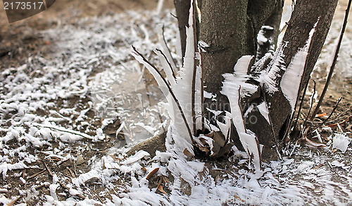 Image of winter storm     