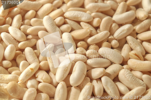 Image of Beans salad