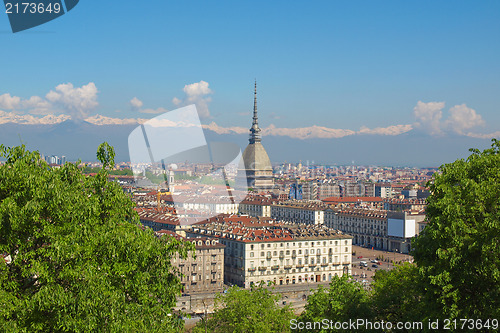 Image of Turin view