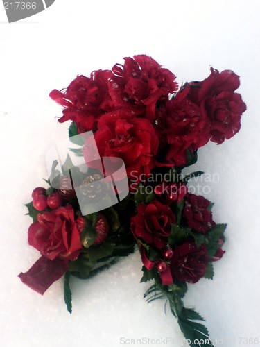 Image of red roses