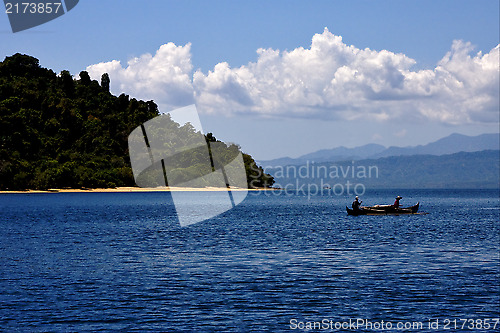 Image of   froth lagoon and coastline