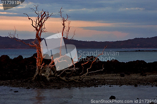 Image of sunset red stone tree hill 