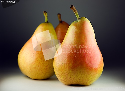 Image of Freshly harvested pears