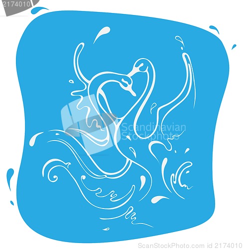 Image of two swans in love isolated on white background