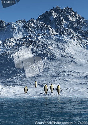 Image of Penguins